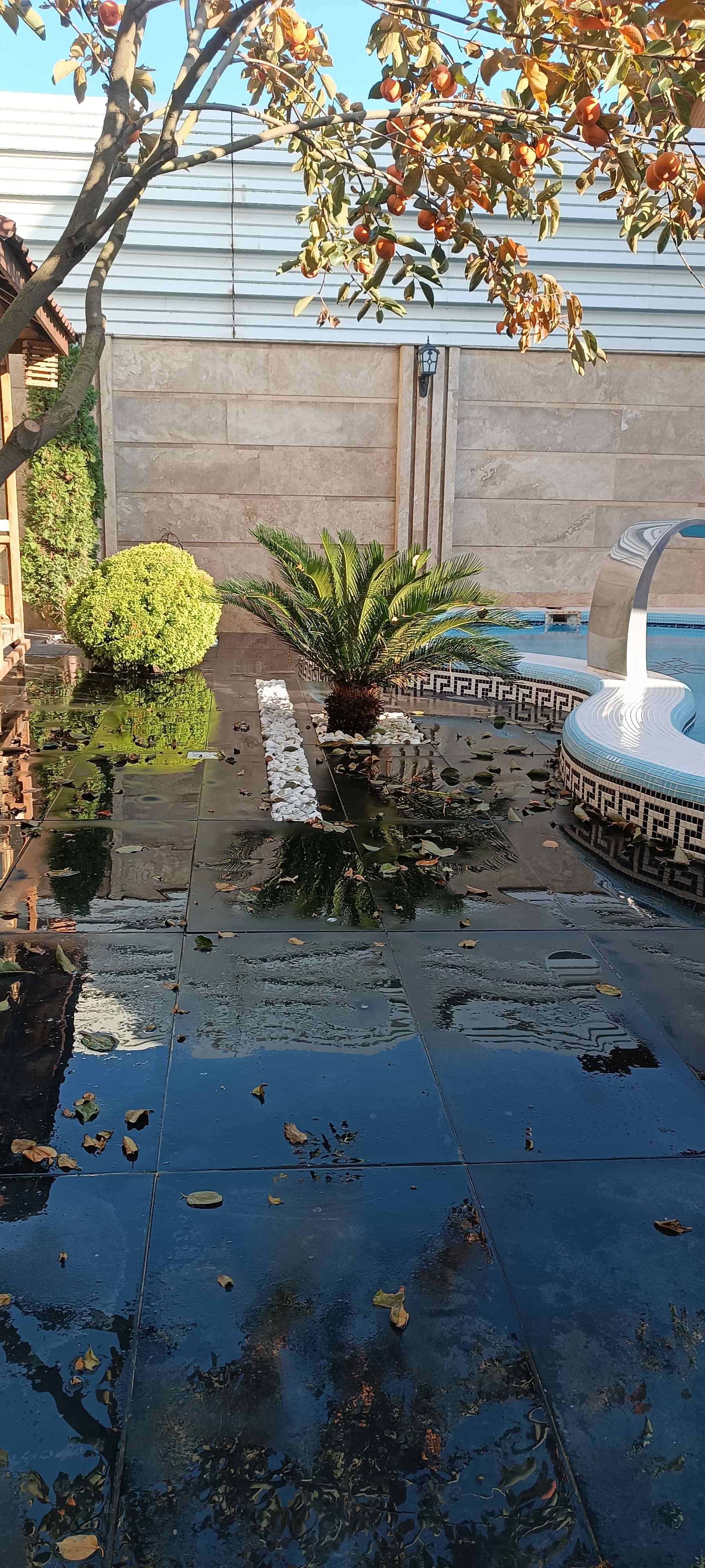 نمونه بتن اکسپوز اجراشده در تهران